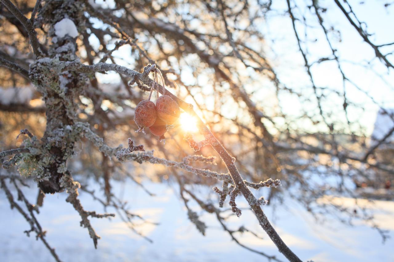 Хостел Helsingegarden Йервсё Экстерьер фото